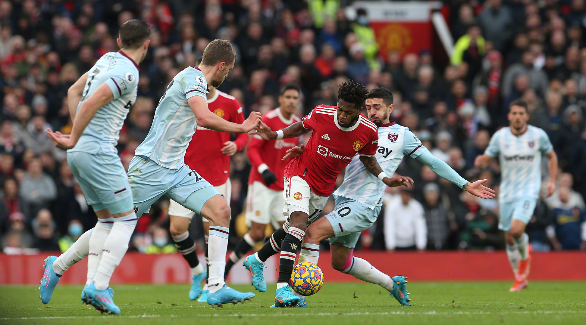 楚地看到申 楚地看到申