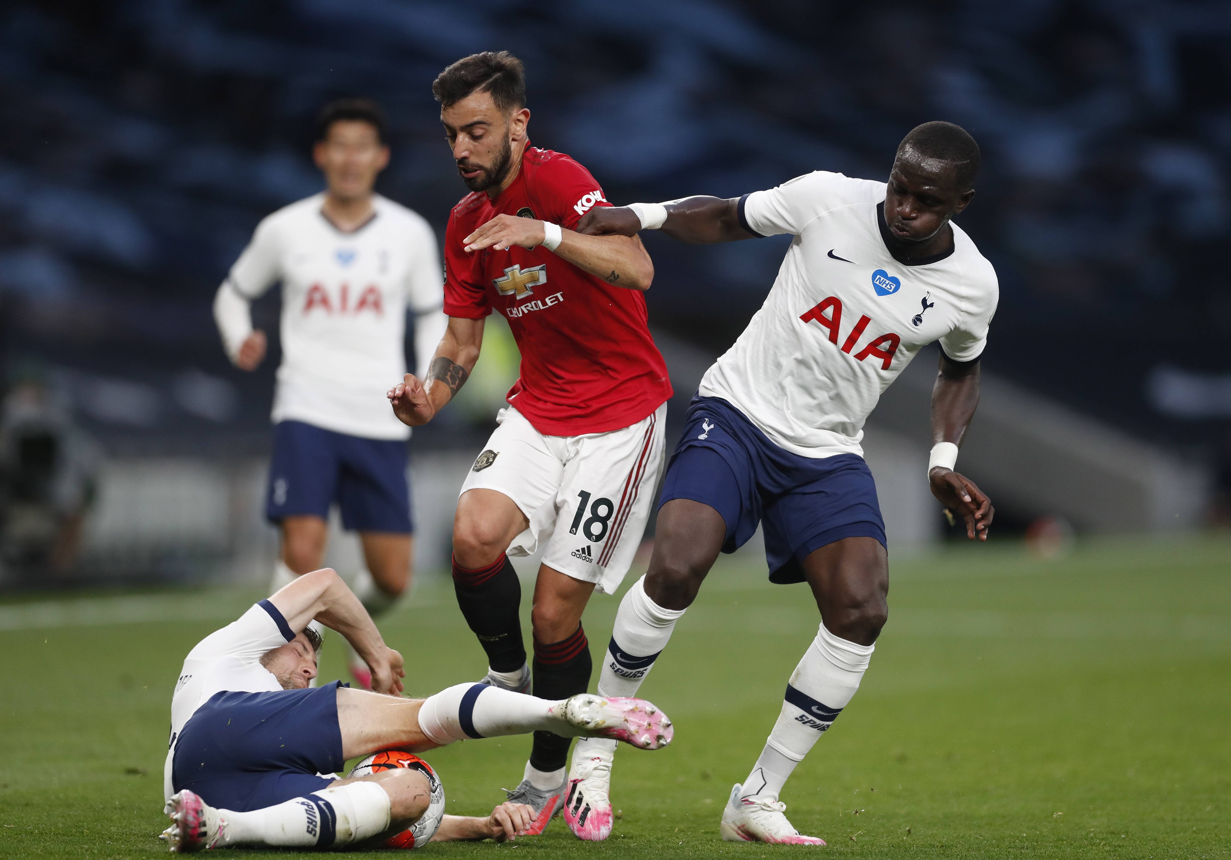 适应与调整 适应与调整